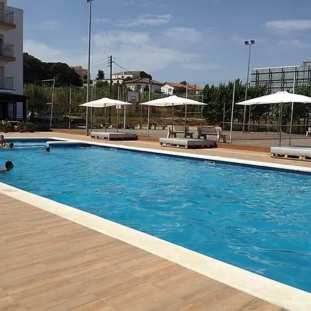 Solfina 2*